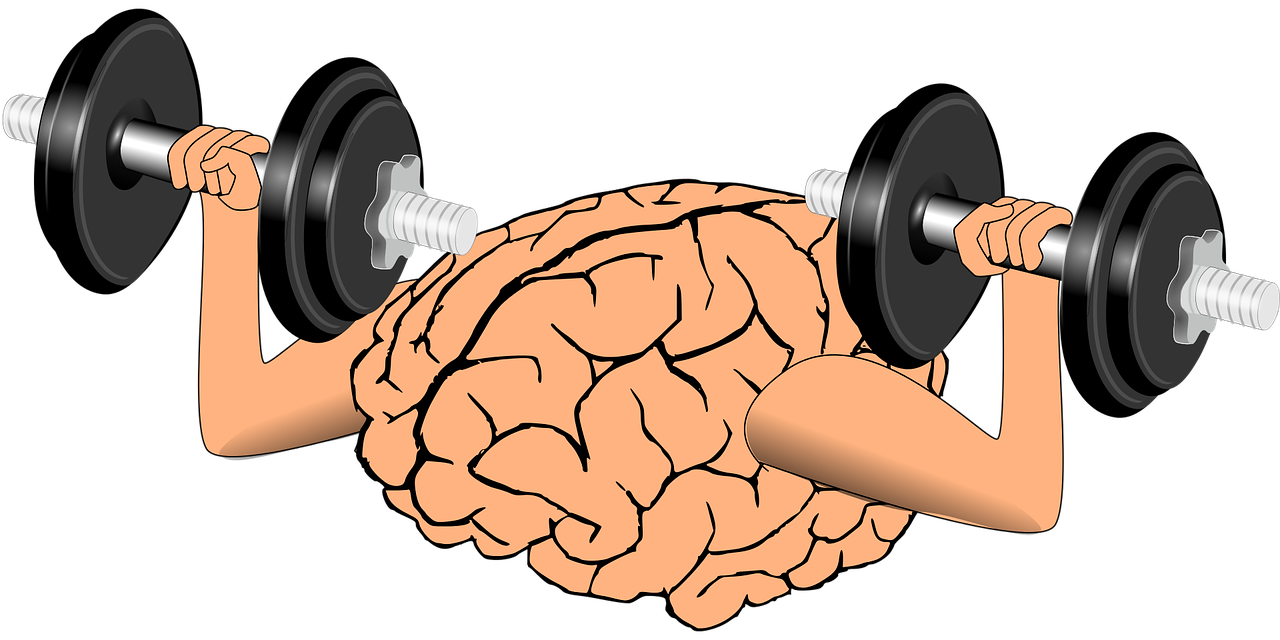 What My Muscles, and Your Brain, Have to Do With Cultivating Well-Being